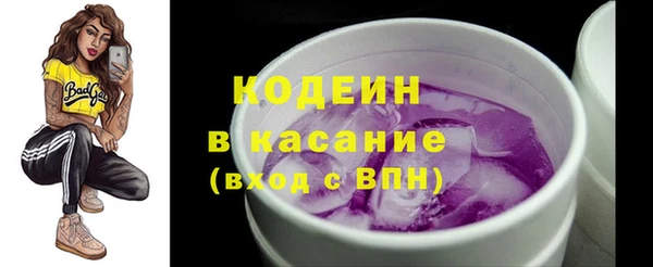 стафф Вяземский